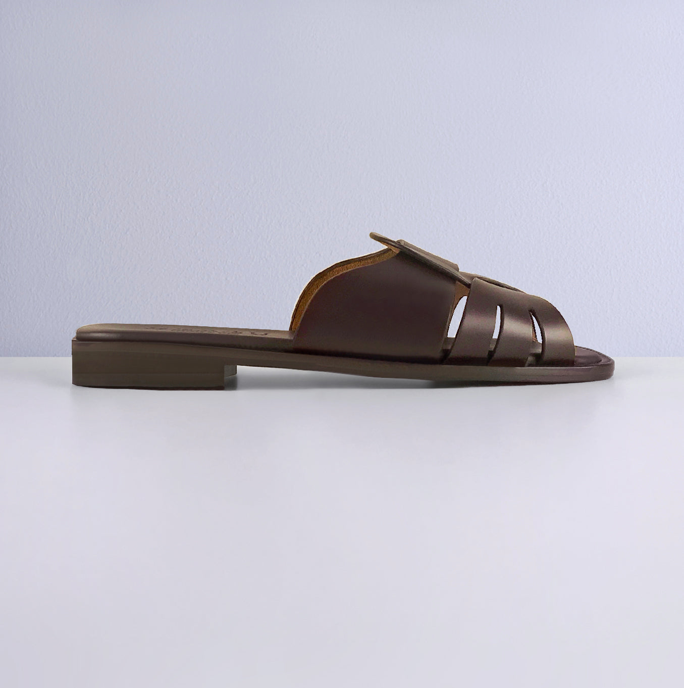 ANCORA SLIDE